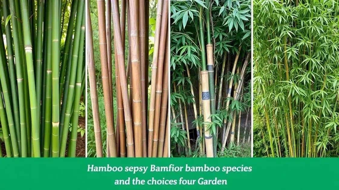 Como escolher o bambu ideal para seu jardim