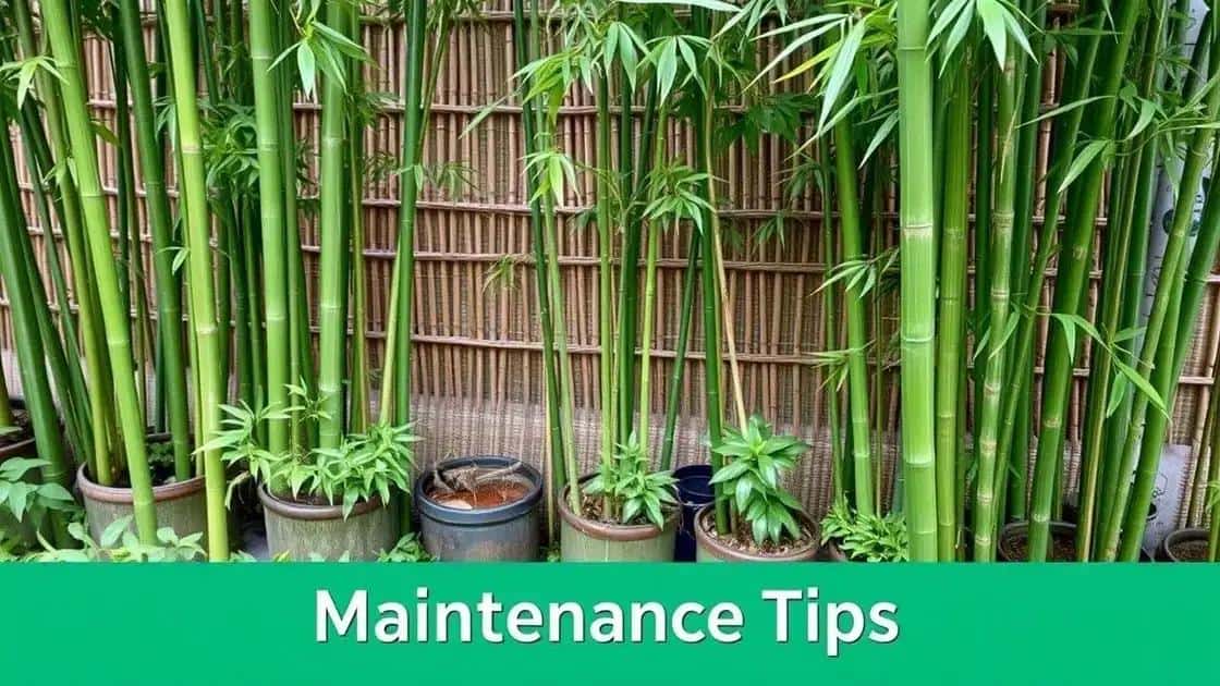 Manutenção e cuidados com plantas de bambu