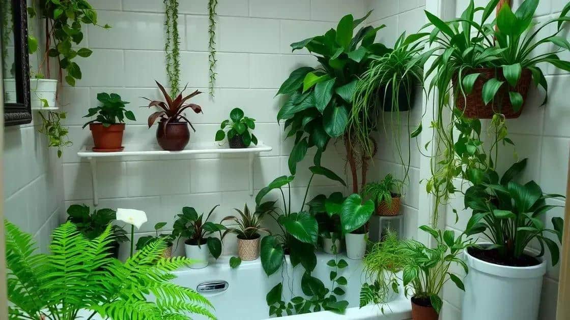 plantas que se adaptam à umidade do banheiro plantas que se adaptam à umidade do banheiro