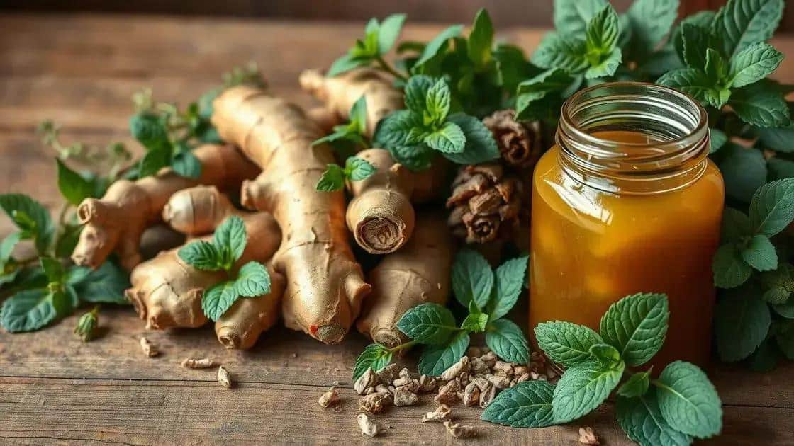 Ervas recomendadas para o preparo do xarope