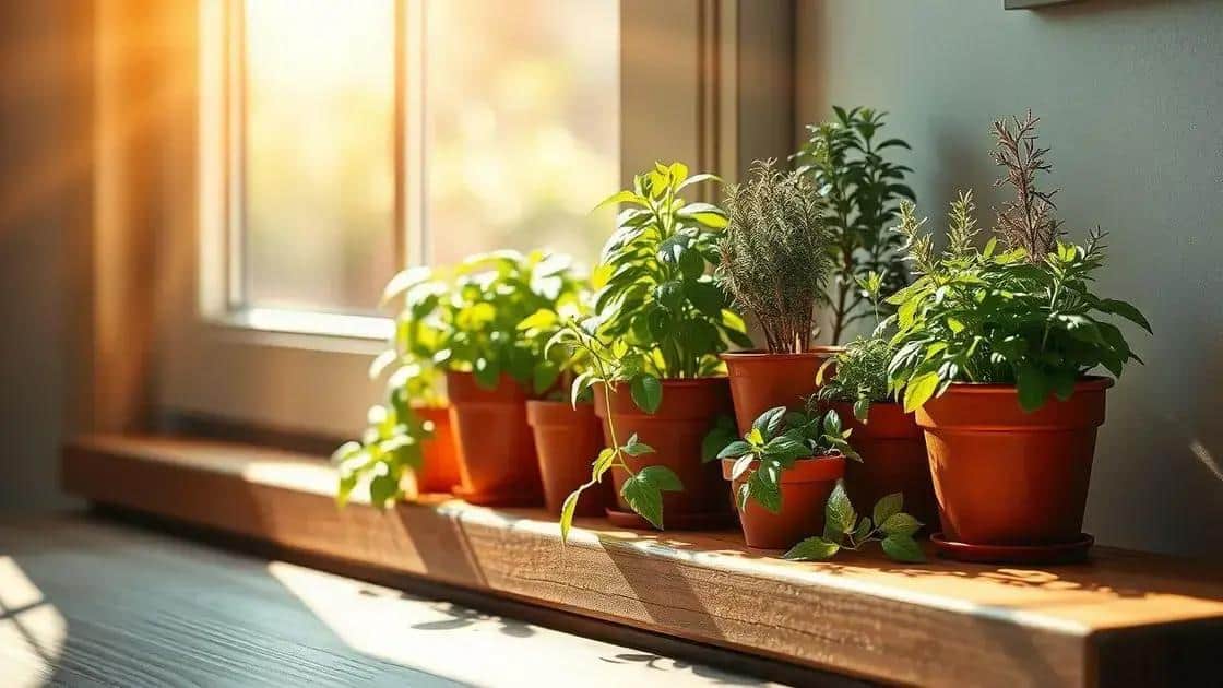 Dicas para cultivar ervas em casa